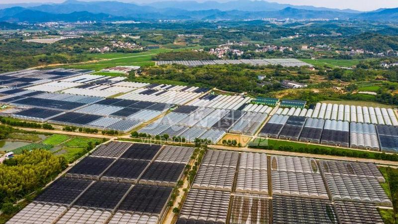 水果种植：农药选购关键要素解析及价格参考